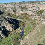 Il torrente Gravina nel canyon di Matera