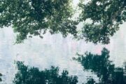 gli alberi si specchiano nel lago piccolo a monticchio